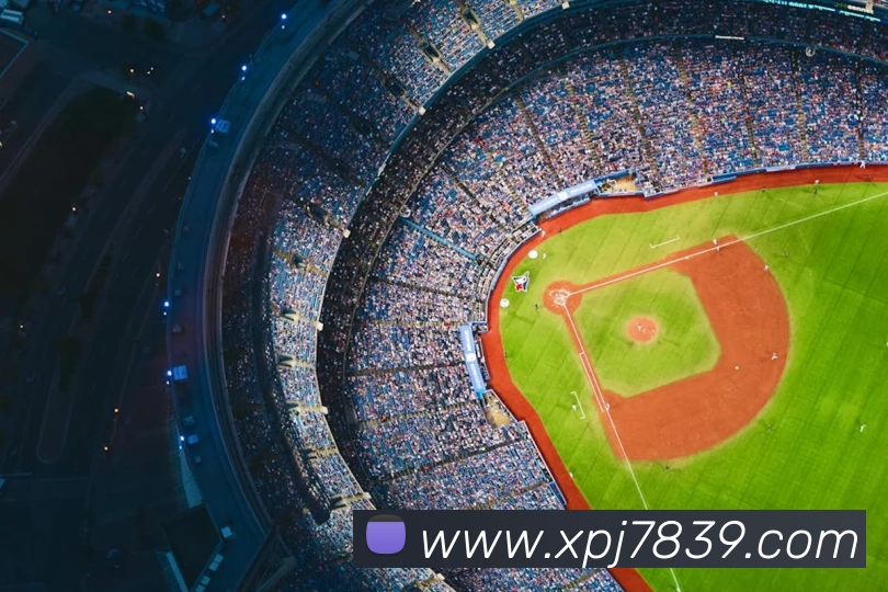 新葡京在线网址服务体系